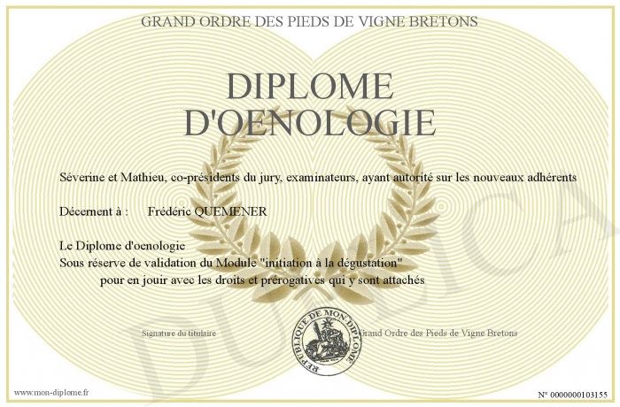 diplome universitaire oenologie